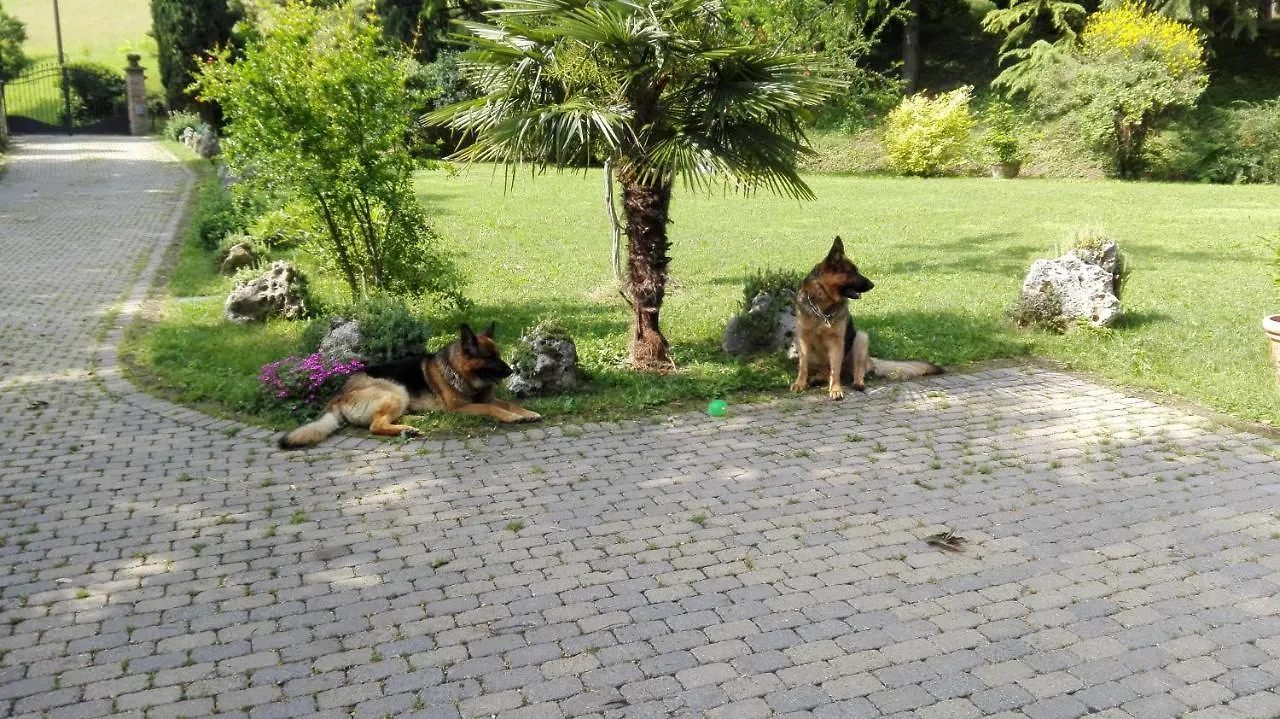 Bed & Breakfast Casina Belvedere Casalecchio Di Reno